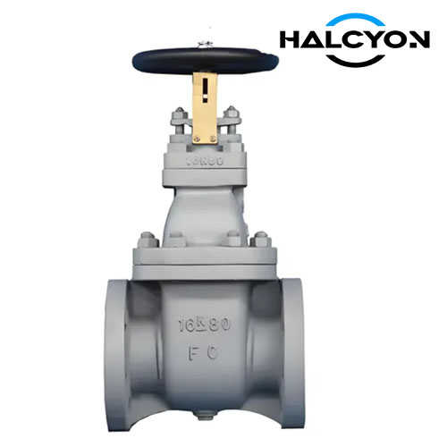 JIS 16K Cast Iron Gate valve